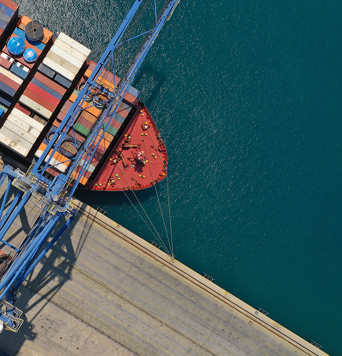 TRI_700x730_Specialized Cruise & Port Logistics_01